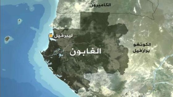 الغابون.. تحديد موعد الإستفتاء على الدستور الجديد