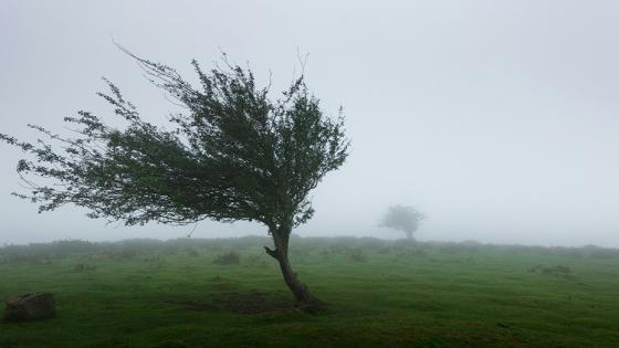 تساقطات مطرية ورياح قوية بعدد من مناطق المغرب