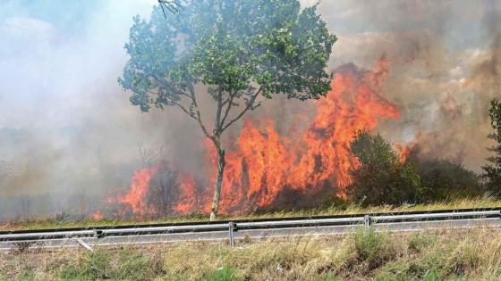 فرنسا.. حريق يلتهم ألف هكتار من الغطاء النباتي في جنوب البلاد