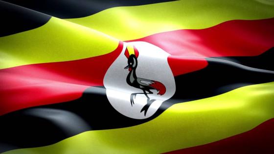 وزارة الصحة الأوغندية تعلن القضاء على وباء إيبولا في البلاد