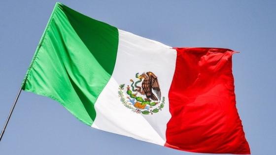 المكسيك.. مصرع 7 أشخاص على يد مسلحين بحديقة في ولاية غواناخواتو