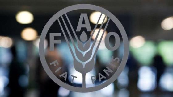 المغرب ينتخب عضوا في مجلس إدارة منظمة الأغذية والزراعة للأمم المتحدة