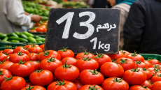 إرتفاع أسعار الطماطم في المغرب إلى 13 درهما للكيلوغرام يثير قلق المستهلكين