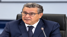 أخنوش يبحث بباريس آفاق الإرتقاء بالشراكة بين المغرب ومنظمة التعاون والتنمية الإقتصادية