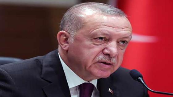 تركيا.. أردوغان يكشف عن تشكيلة حكومته الجديدة