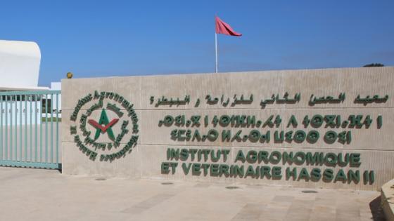 الرباط.. إفتتاح أشغال المؤتمر الدولي حول الزراعة البيولوجية والإيكولوجية