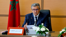 الحكومة تطلع على إتفاق لتعزيز التعاون الجمركي بين المغرب ومصر