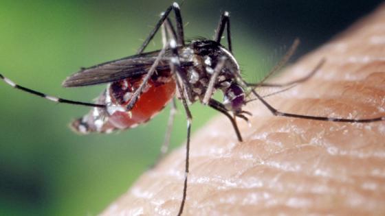 فرنسا.. رصد 10 حالات إصابة بحمى الضنك بمقاطعة فوكلوز