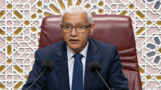 الطالبي العلمي: القضية الوطنية تصدرت تحركات مجلس النواب الخارجية خلال الولاية التشريعية