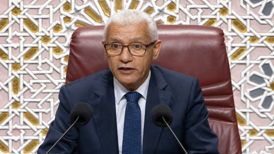 الطالبي العلمي: القضية الوطنية تصدرت تحركات مجلس النواب الخارجية خلال الولاية التشريعية
