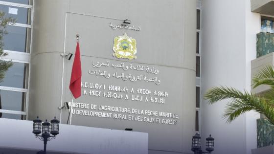 وزارة الفلاحة تخصص 40 مليون درهم لإصلاح أضرار الفيضانات بجهة درعة تافيلالت