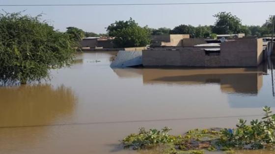 تشاد.. مصرع 15 شخصا جراء أمطار غزيرة ضربت إقليم وداي شرق البلاد
