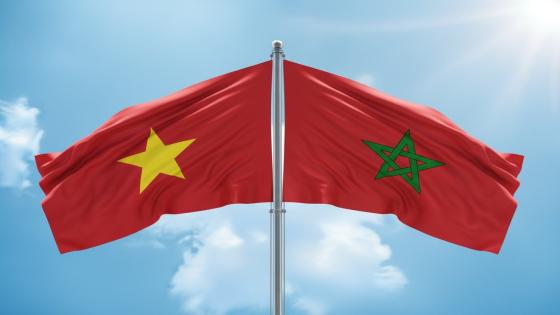 المغرب وفيتنام يعززان تعاونهما القضائي بتوقيع إتفاقيتين في المجال الجنائي وتسليم المجرمين