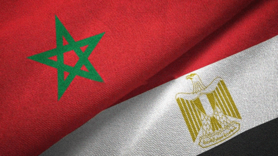المغرب ومصر يحدثان لجنة للتشاور السياسي المنتظم