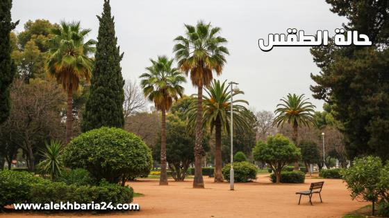 طقس الخميس.. أجواء حارة مرتقبة بعدد من مناطق المملكة