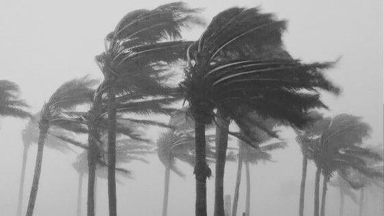 نشرة إنذارية: رياح قوية مع تطاير الغبار بعدد من مناطق المملكة