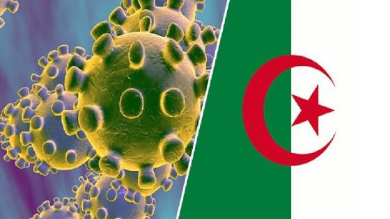 الجزائر… تسجيل 14 حالة وفاة و131 حالة إصابة جديدة بفيروس "كورونا"