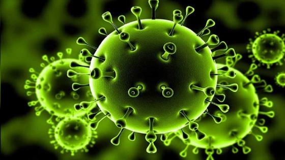 السعودية… تسجيل 99 حالة إصابة جديدة بفيروس "كورونا" والعدد الإجمالي للحالات المسجلة يرتفع إلى 1203 حالة