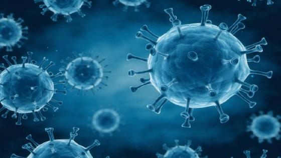 الجزائر… تسجيل 10 حالات جديدة مؤكدة للإصابة بفيروس "كورونا" منها حالتا وفاة