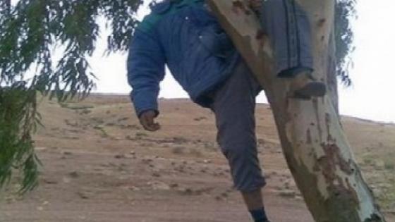 شيشاوة… سلطات قيادة انفيفة تنجح في منع خمسيني من الانتحار