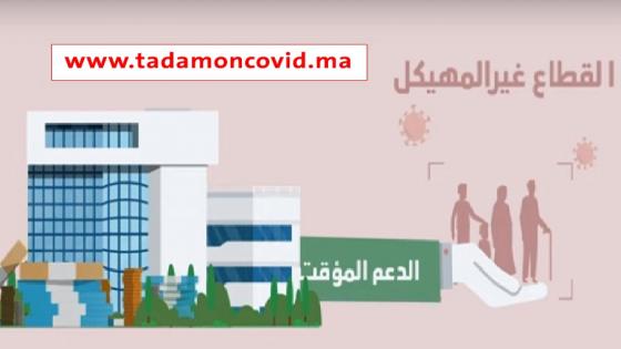 لجنة اليقظة الاقتصادية… تسجيل حوالي مليوني شكاية من طرف الأسر العاملة في القطاع غير المهيكل