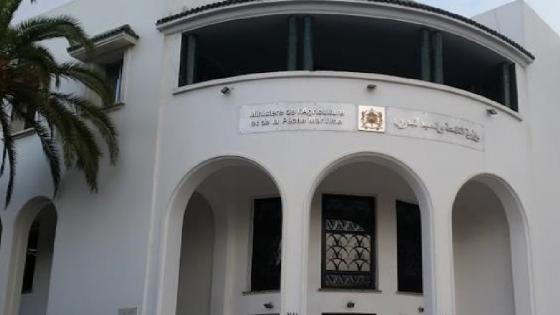 وزارة الفلاحة تنفي الأخبار المتداولة حول منح مساعدات للخيول في سياق الأزمة الصحية الحالية