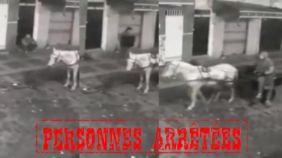 ولاية أمن القنيطرة تتفاعل مع مقطع فيديو يظهر شخصا يقوم بسرقة غطاء معدني لقناة الصرف الصحي