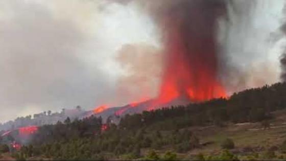 مصرع 3 أفراد من الوقاية المدنية أثناء محاولتهم إطفاء حريق غابوي بالمضيق
