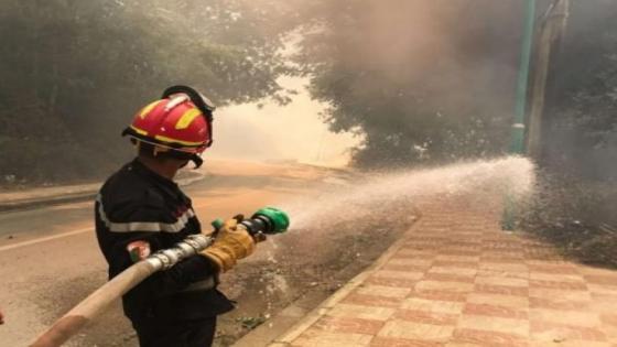 الجزائر… إرتفاع حصيلة ضحايا حرائق الغابات إلى 69 شخصا