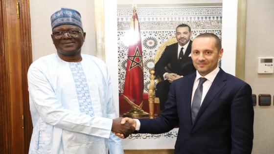 التهراوي يستقبل وزير الصحة العمومية بجمهورية النيجر