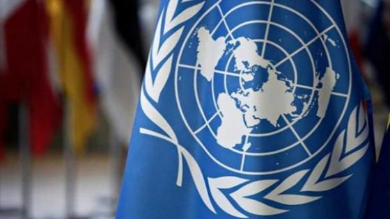 المغرب يؤكد إستعداده للإسهام في الشراكة العالمية من أجل التنمية المستدامة