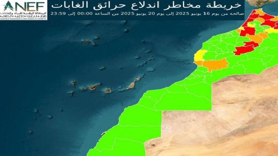 وكالة المياه والغابات تصدر خرائط تنبؤ تحدد المناطق المعرضة لخطر إندلاع الحرائق الغابوية
