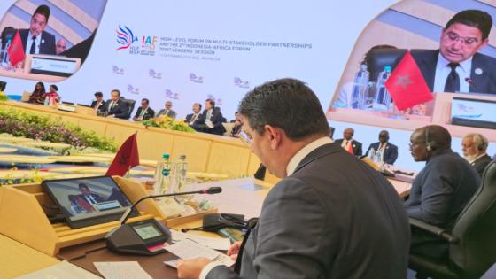 بوريطة يمثل جلالة الملك في المنتدى الثاني أندونيسيا-إفريقيا