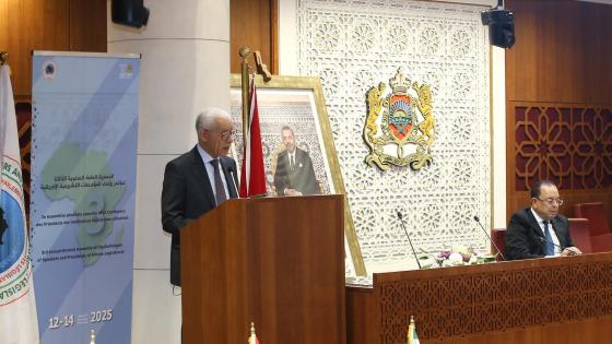 الطالبي العلمي: إفريقيا مطالبة بالإنتقال من إدارة الأزمات إلى حلها وإستثمار إمكانياتها
