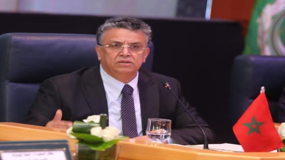 وهبي ينوه بالمكتسبات التي راكمتها اللجنة العربية الدائمة لحقوق الإنسان