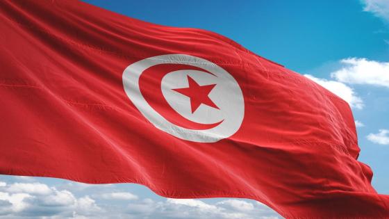 تونس.. إقالة وزيرة التجارة وتنمية الصادرات