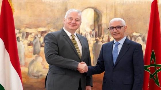 الطالبي العلمي يجري مباحثات مع نائب الوزير الأول المجري