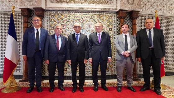 الطالبي العلمي يستقبل وفدا عن لجنة الشؤون الخارجية بالجمعية الوطنية الفرنسية