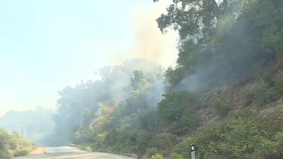 العرائش.. إعانات مالية للمتضررين من حريق غابة جبل العلم