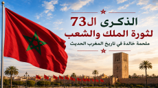ثورة الملك والشعب.. 73 سنة من التلاحم الوطني في مسيرة الحرية والإستقلال وصون السيادة