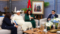 عرشان: الحركة الديمقراطية الإجتماعية مستعدة لدعم إنجاح الحكومة الجديدة