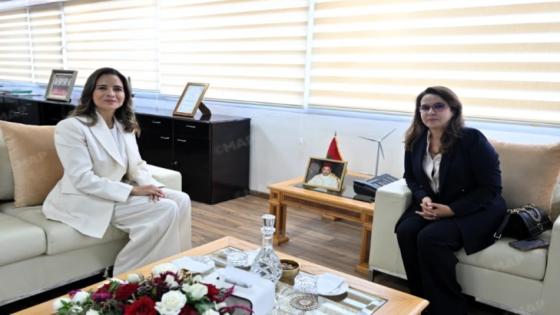 شرفات أفيلال تتولى حقيبة الطاقة والمعادن والتنمية المستدامة خلفاً لليلى بنعلي