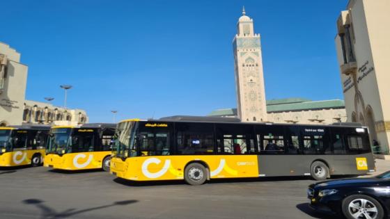 أسطول جديد مكون من 450 حافلة في خدمة البيضاويين ابتداء من يوم الإثنين المقبل