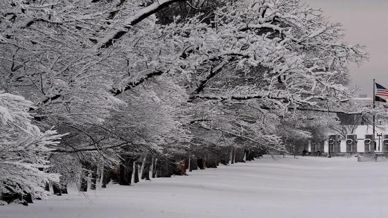عاصفة ثلجية تضرب مناطق غرب ولاية نيويورك