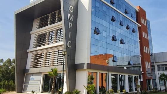 OMPIC.. إحداث 54 ألفا و643 مقاولة خلال الأشهر السبعة الأولى من 2024