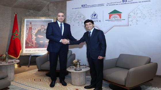 التعاون الأمني الدولي في صلب مباحثات حموشي مع وكيل الأمين العام لشؤون سيادة القانون